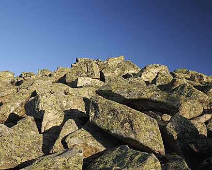 石头,顶峰,哈尔茨山,国家公园,下萨克森,德国