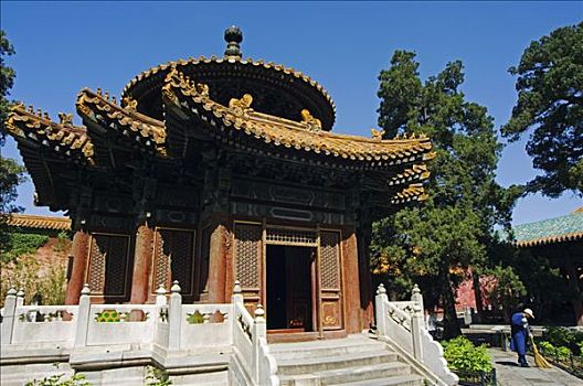 亭子,皇家,花园,故宫,北京,中国