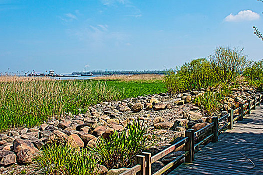 上海宝山炮台湾湿地公园风光