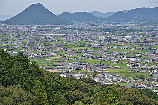 斑点,日本