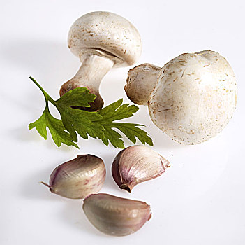 草菇,双孢蘑菇,西芹,蒜
