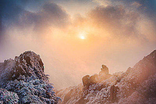 雪景