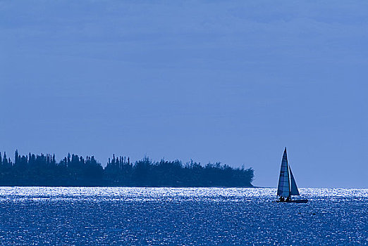 帆船,海洋,湾,考艾岛,夏威夷,美国