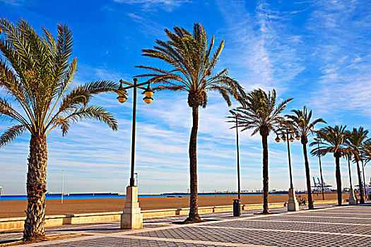 瓦伦西亚,海滩,棕榈树,散步场所,西班牙