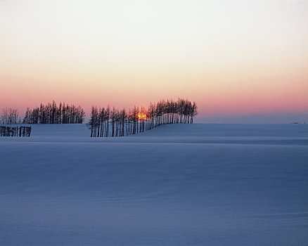 雪地