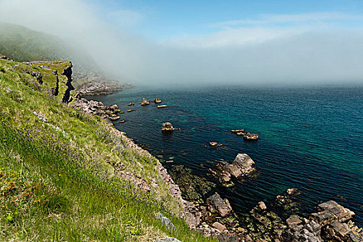 岩石,悬崖,雾,接近,住宅区,低,纽芬兰,加拿大