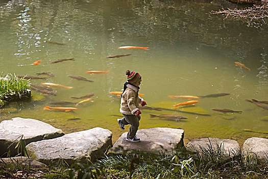 男孩,旁侧,水塘,锦鲤,鲤鱼,花园,神祠,大,神社,心形,城市,日本