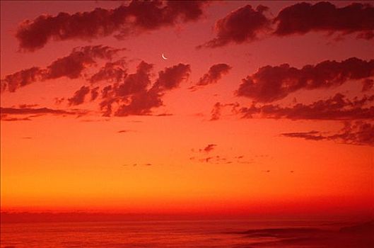 日落,新月,上方,海洋,纳米比亚