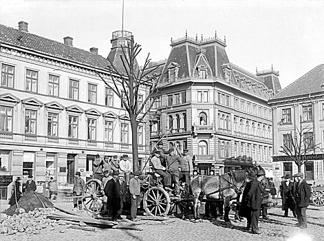 种植,树,市政厅,瑞典,20世纪20年代,艺术家,未知