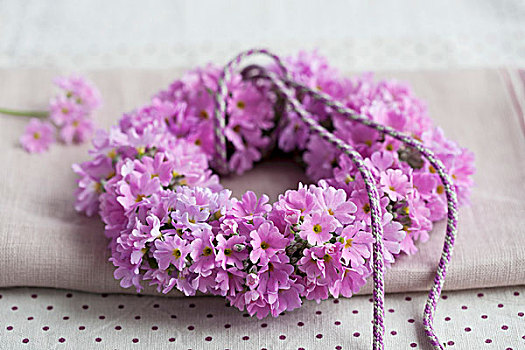 花环,紫色,樱草花