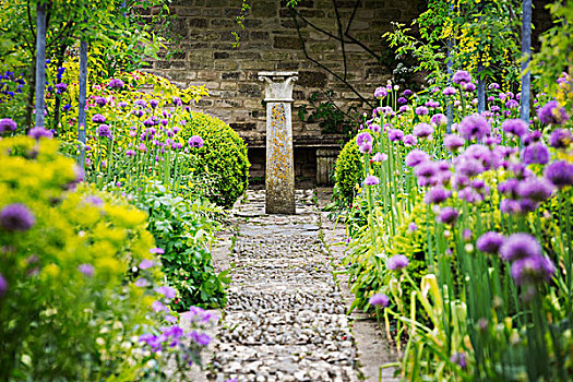 风景,小路,花园,紫色,葱属植物,石墙,柱子,背景