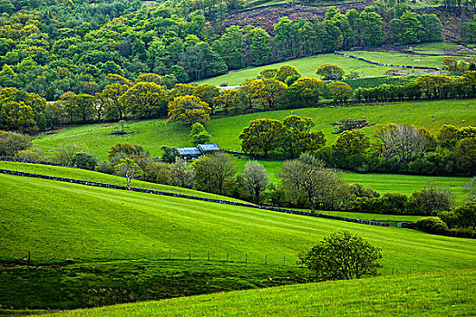 农田,靠近,格温内思郡,威尔士,英国