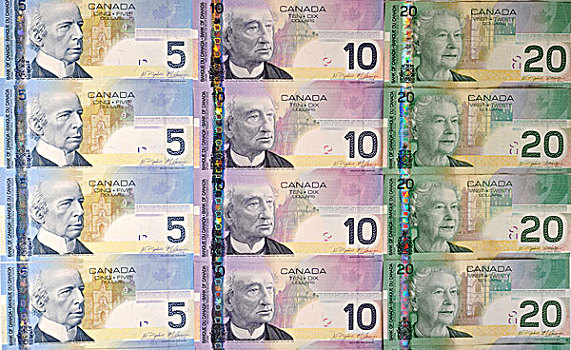 多样,加拿大,美元,货币