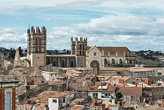 蒙彼利埃,法国,风景,上方,老城,16世纪,大教堂