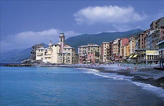 海滩,沿岸城镇,海洋,建筑,卡莫利,利古里亚,意大利,欧洲