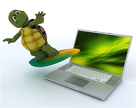 龟,冲浪板,笔记本电脑