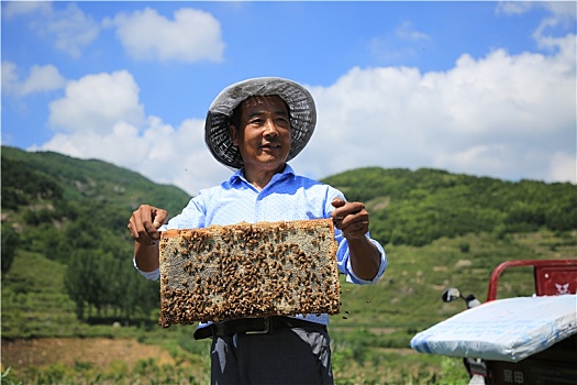 山东省日照市,实拍养蜂人的甜蜜生活