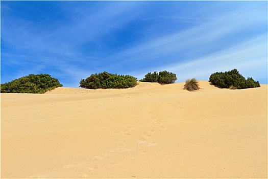 撒丁岛,沙丘