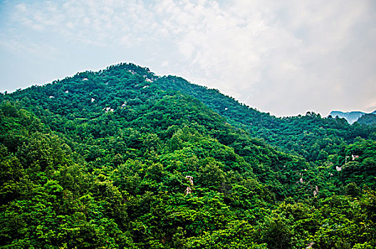 被绿色植被覆盖的大山