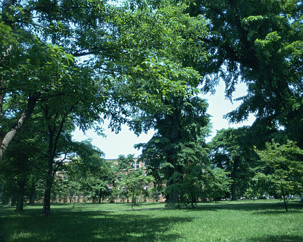 北海道,大学,植物园