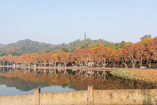 杭州西湖宝石山秋景