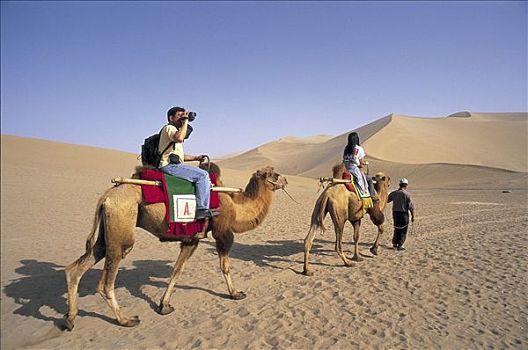 甘肃,敦煌,游客,骑,骆驼