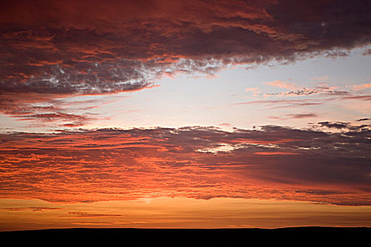 日落,帕拉加斯,国家公园,秘鲁