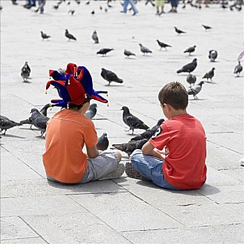 后视图,两个男孩,坐,鸽子,正面,威尼斯,威尼托,意大利