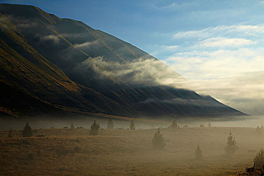 新西兰,南岛,麦肯齐山区,早晨,雾气