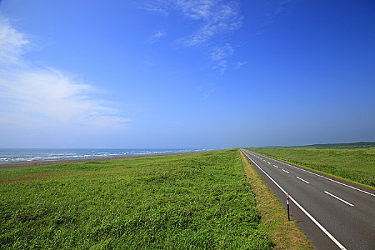 道路,地平线