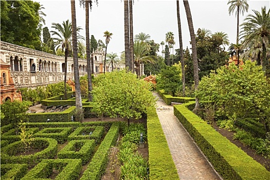 棕榈树,墙壁,花园,城堡,皇宫,塞维利亚,西班牙