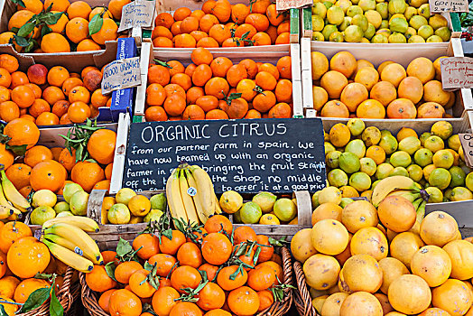 英格兰,伦敦,南华克,博罗市场,展示,有机,柑橘