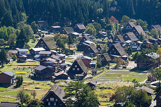 日本,历史,乡村