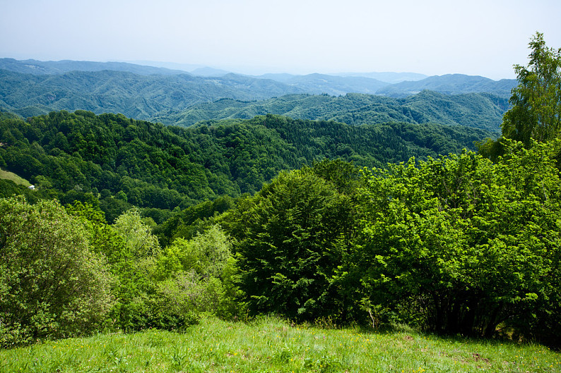 风景,阿尔卑斯山,草地,树林,山,远景_高清图片_全景视觉