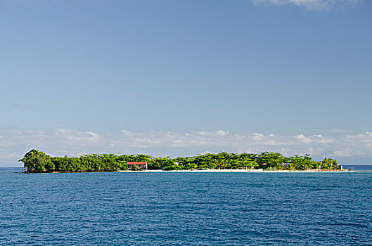 伯利兹,溪流,加勒比海,海洋,小,岛屿,柠檬