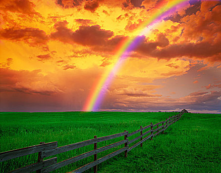彩虹,乡野,土地,金色,云
