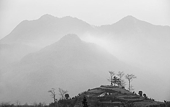 山,树林,雾气,云海,氤氲,绿色,树木,乡村