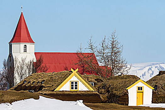 冰岛,家,室外,草皮,靠近,教堂,年轻,画廊