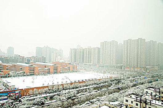 城市雪景