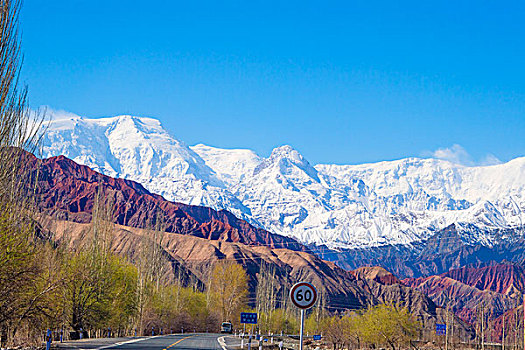 新疆,雪山,红山石,蓝天,公路,树木