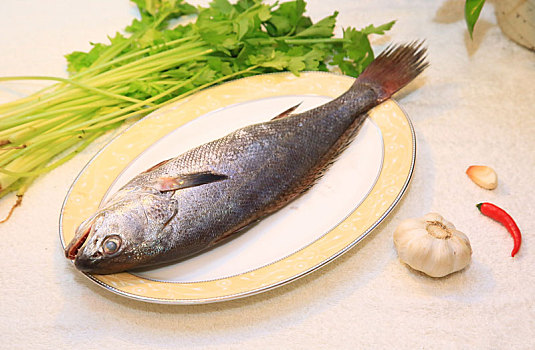 鮸鱼,米鱼,海鲜,食材,原材料