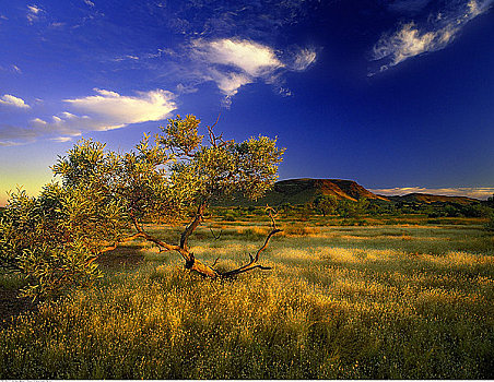卡瑞吉尼国家公园,西澳大利亚,澳大利亚
