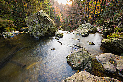 风景,河,秋天,巴伐利亚森林国家公园,巴伐利亚,德国