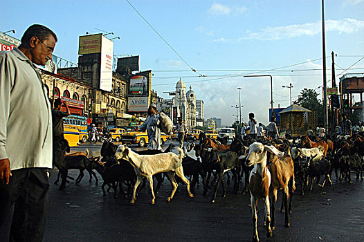 途中,中心,加尔各答,印度,八月,2007年