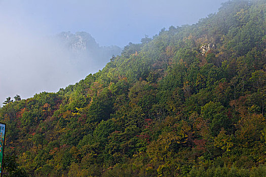 山坡,植被,自然,风光,本溪,湖里村,秋季,红叶,色彩,艳丽,云雾