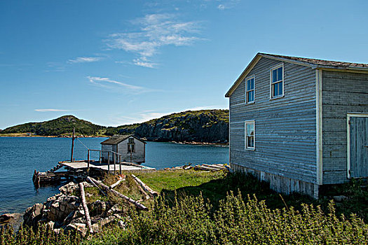 房子,海岸,特威林盖特,南,特威林盖特岛,纽芬兰,拉布拉多犬,加拿大