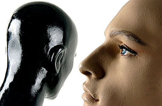 头部,两个,人体模型
