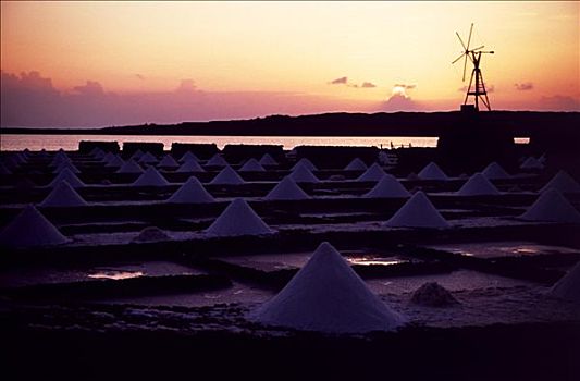 堆放,海盐,兰索罗特岛,加纳利群岛,西班牙