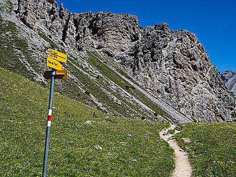 路标,小路,向上,山,瑞士国家公园,恩加丁,瑞士