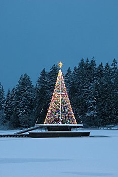 圣诞树,冰湖,湖,温哥华,不列颠哥伦比亚省,加拿大